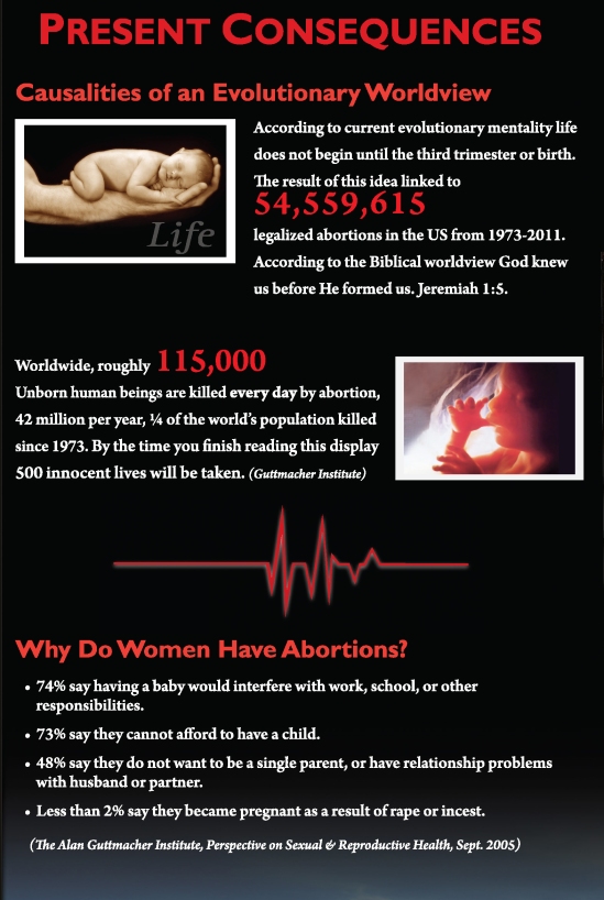 Abortion Display 2